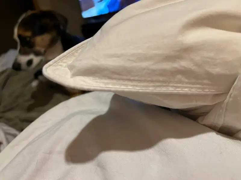 100% Cotton Pillow Protectors
