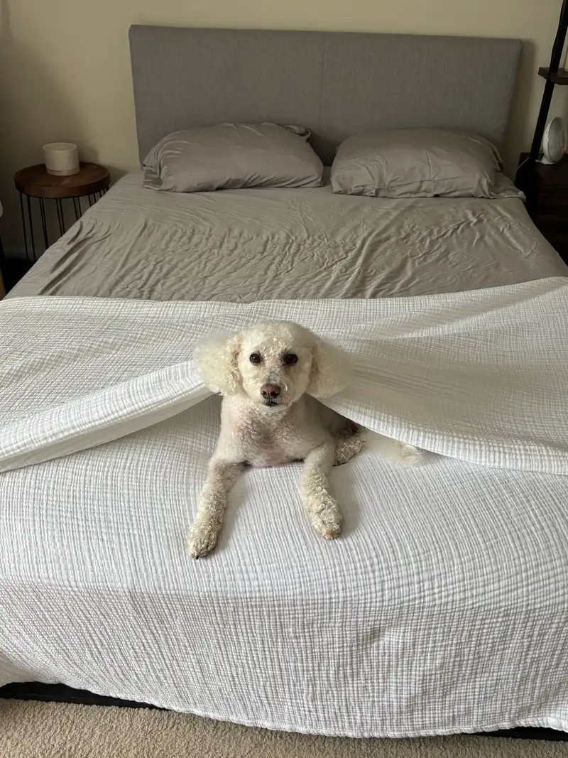 Customer image of Organic Airy Gauze Throw