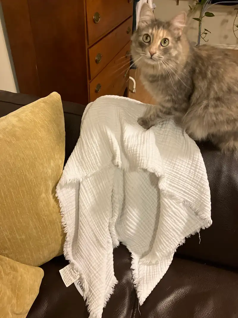 Customer image of Organic Airy Gauze Throw