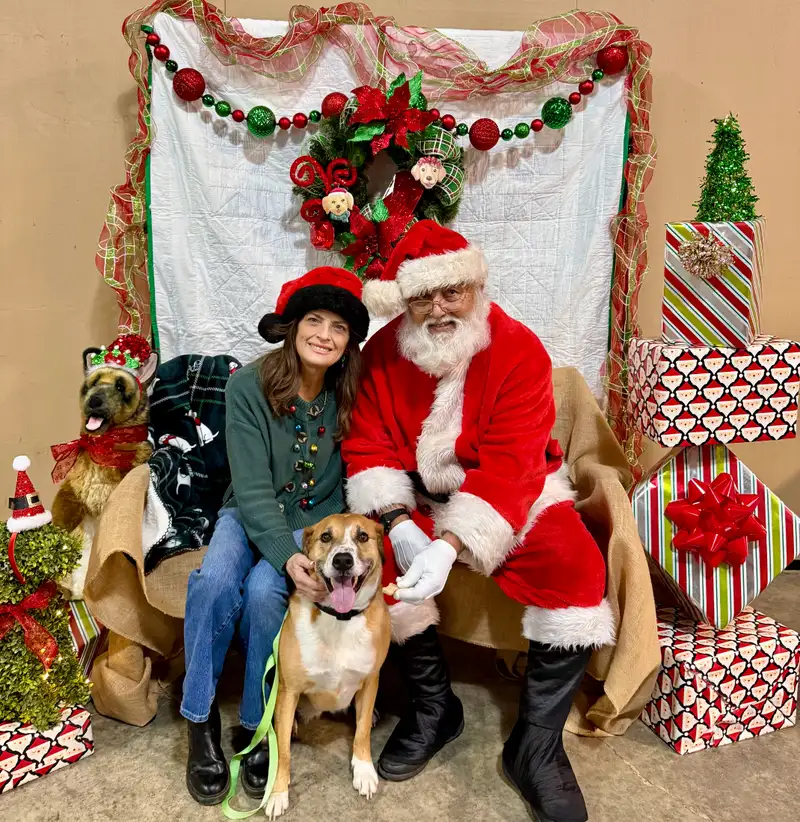 Organic Bamboo Viscose Sheet Set