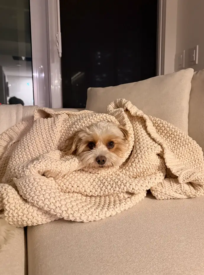 Italian Recycled Cotton Geometric Throw