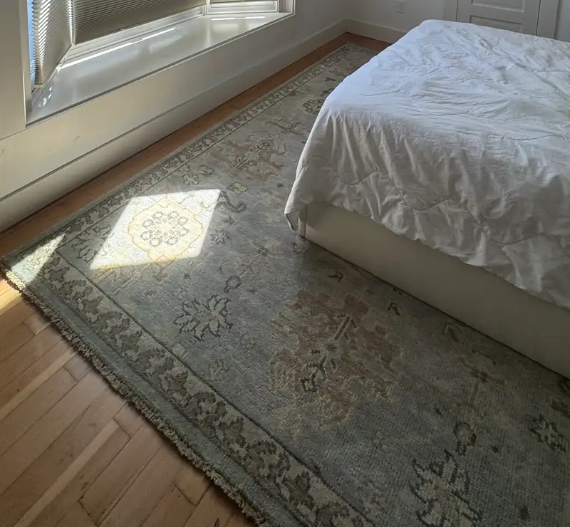 Sina Hand-Knotted Wool Rug