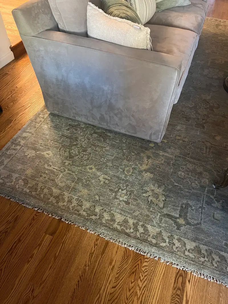 Sina Hand-Knotted Wool Rug