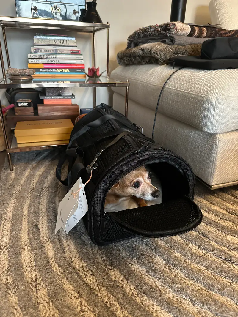 Dog Travel Carrier