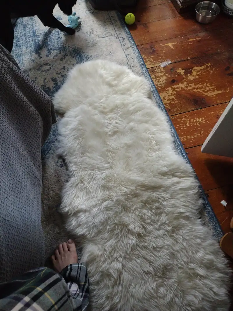 Australian Double Sheepskin Rug