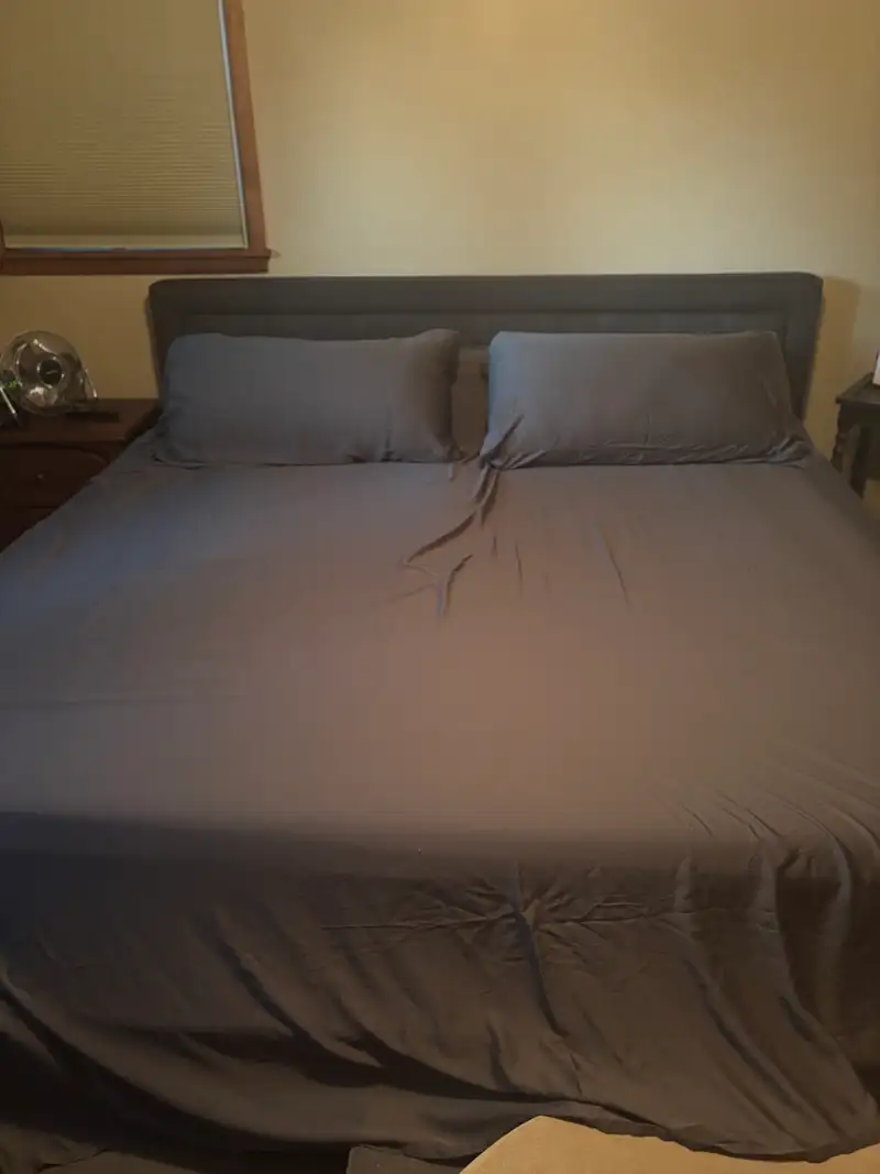 Customer image of Bamboo Sheet Set