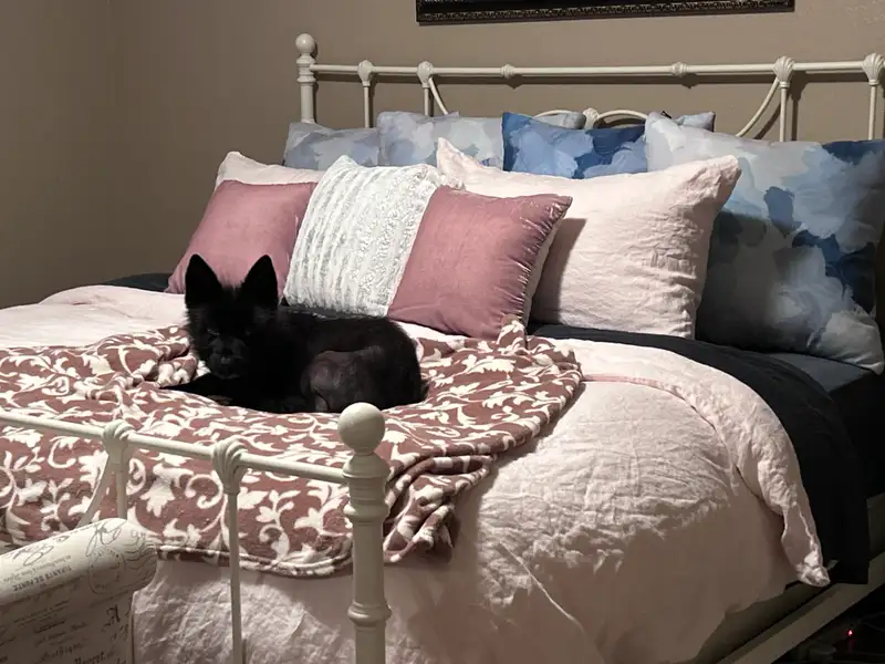 Customer image of Bamboo Sheet Set