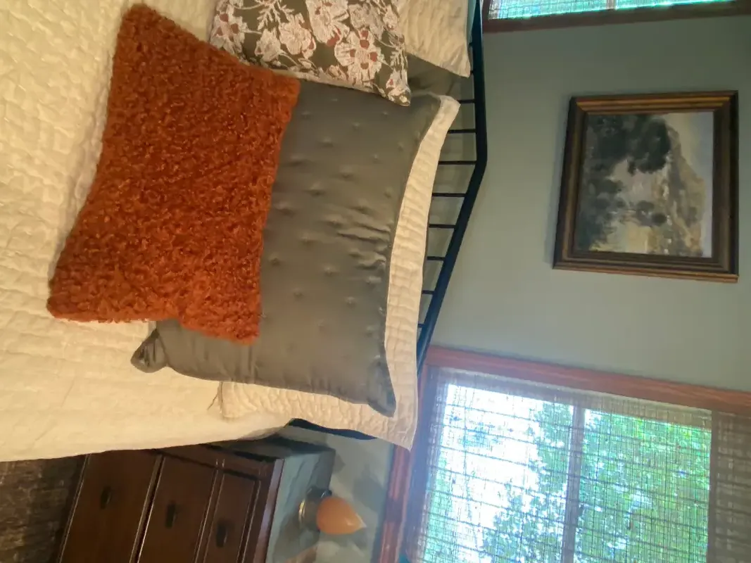 Organic Bamboo Viscose Quilted Sham Set