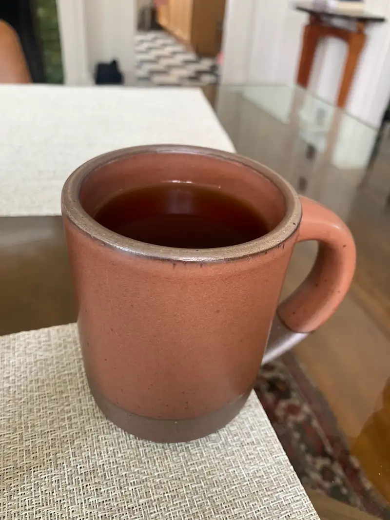 The Mug by East Fork