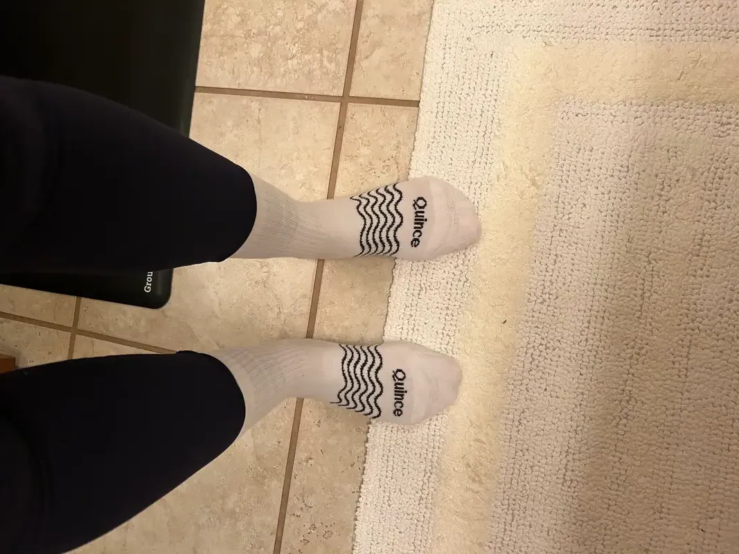 Everyday Cotton Solid Ankle Socks (4-pack)