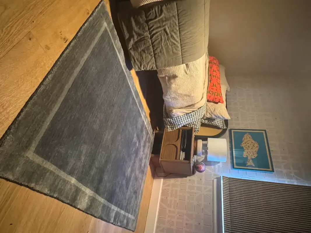 Delaney Rug 