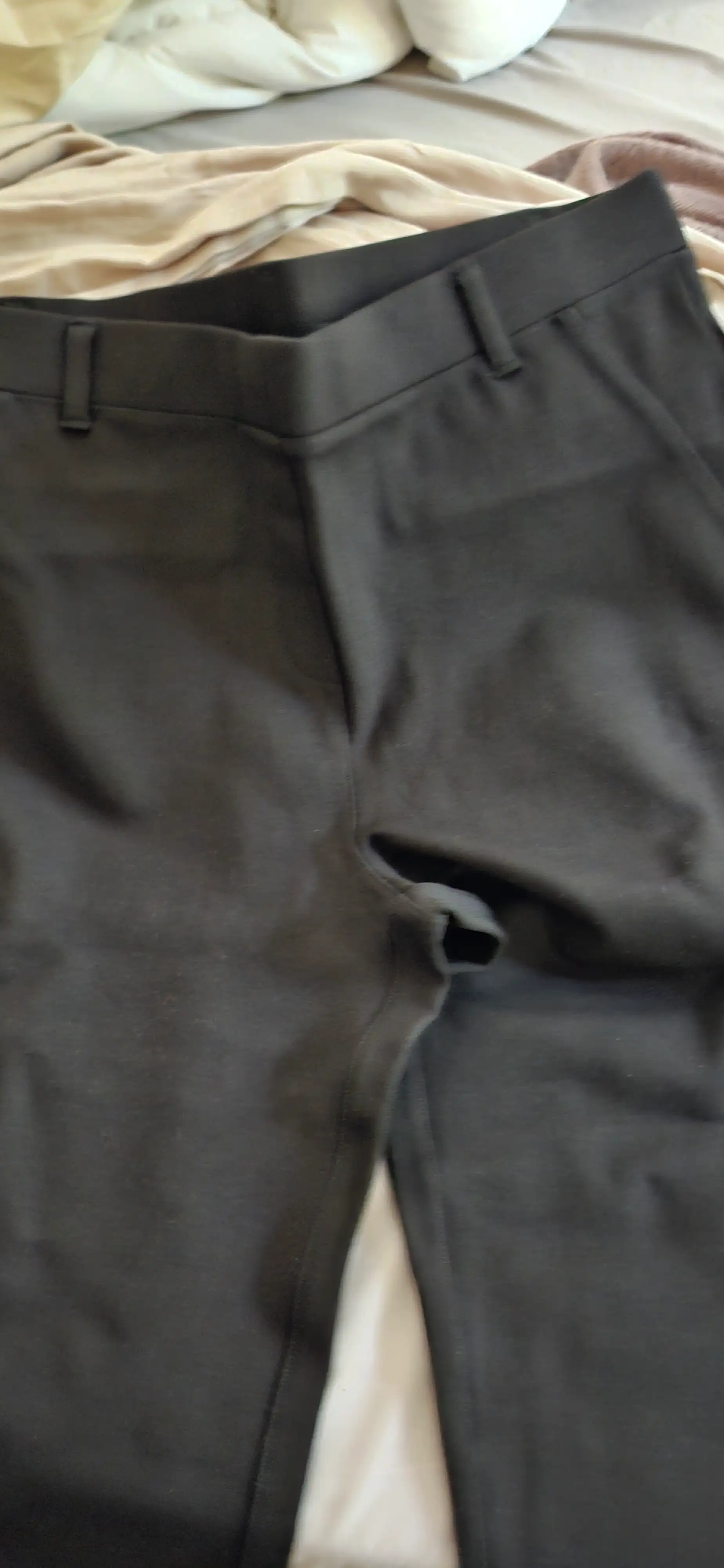 Customer image of Ultra-Stretch Ponte Straight Leg Pants