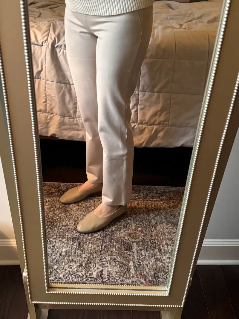 Amazing ponte pants!