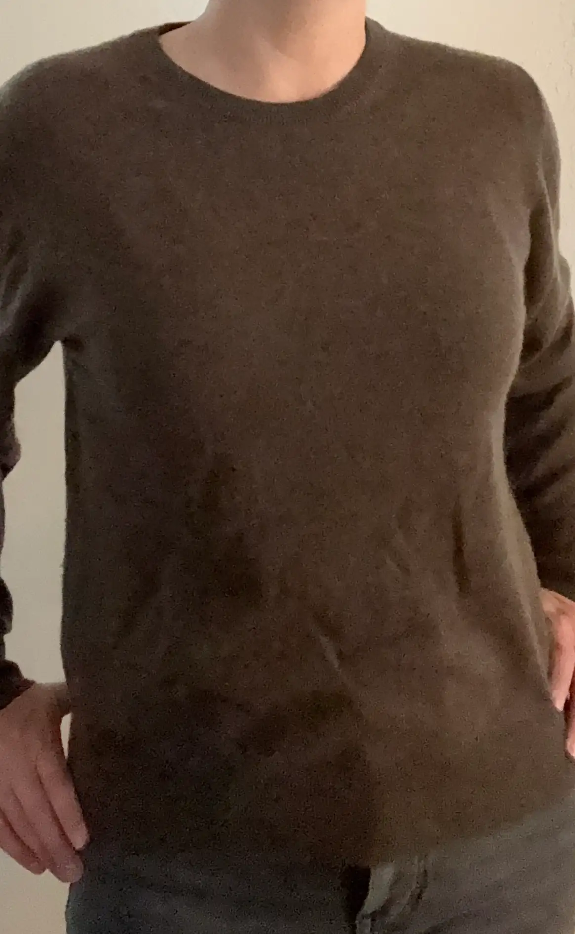 Customer image of Mongolian Cashmere Crewneck Sweater